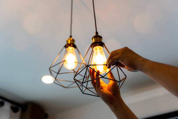 Best Electric Panel Repair  in Savannah, MO